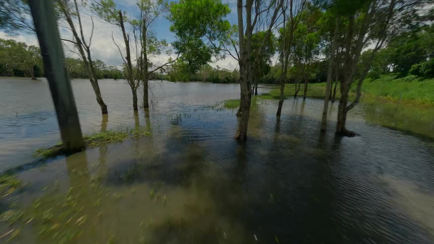 A footage of a riverine area