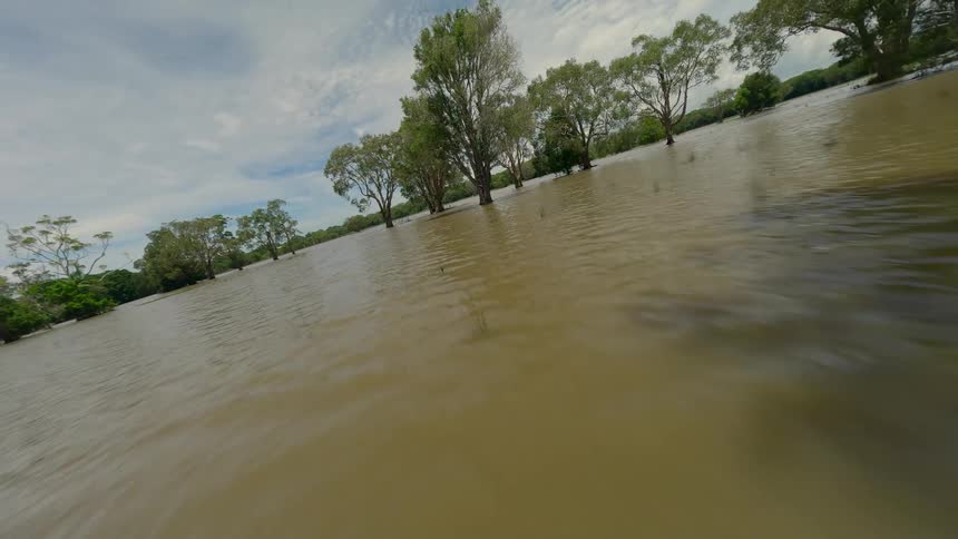 Floodwaters inundate a landscape dotted with mature trees under a cloudy sky