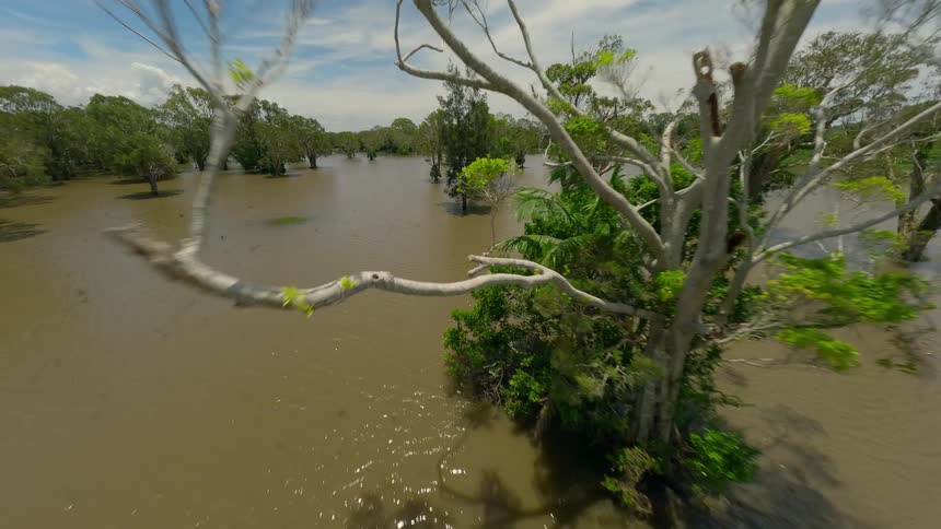 An aerial view shows a flooded landscape where trees stand partially submerged in murky water under a partly cloudy sky