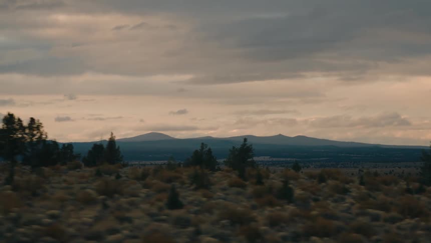 Aerial view of a vast open terrain with dry grassy plains and scattered evergreen trees leading to distant mountains under a cloudy dramatic sky