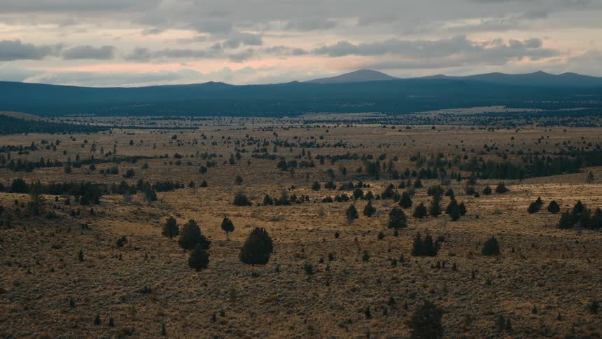 An aerial view of a vast open landscape with a mix of dry grassy plains and scattered dark evergreen trees stretching towards distant mountains under a cloudy sky