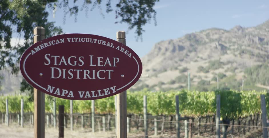 Sign standing near a field of grapes identifies the area as the stags leap district in napa valley