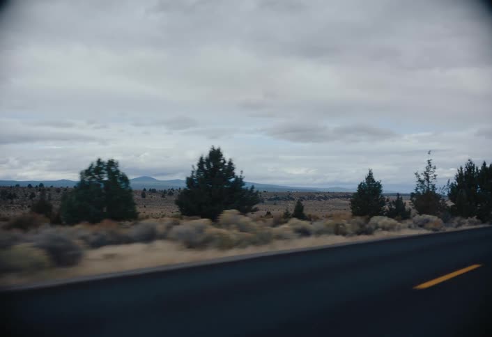A moving vehicle captures a roadside landscape with dry shrubs and scattered evergreen trees under a cloudy overcast sky