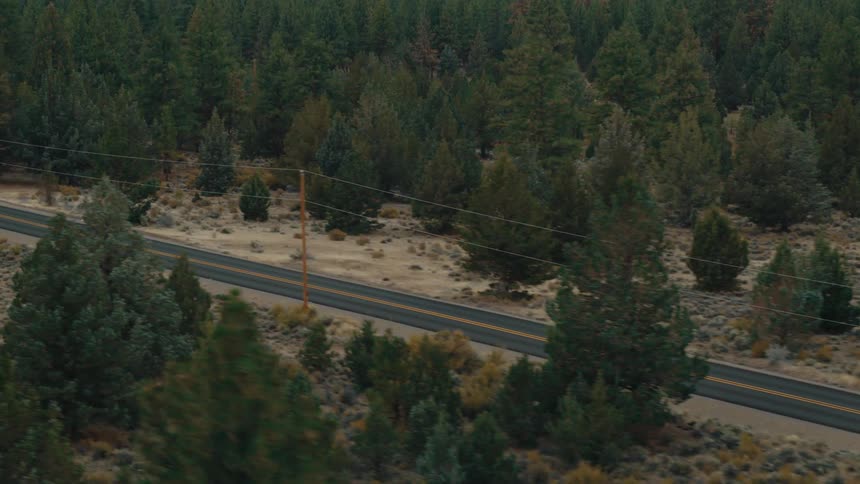 A footage of a bike moving through the freeway in the woods