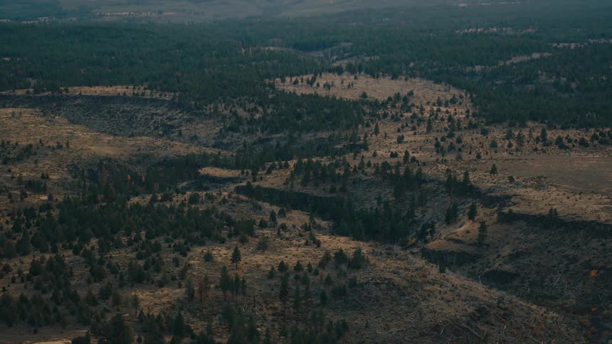A vast pine forest with some spots of grassy fields stretches from horizon to horizon as seen from a birds eye view from above