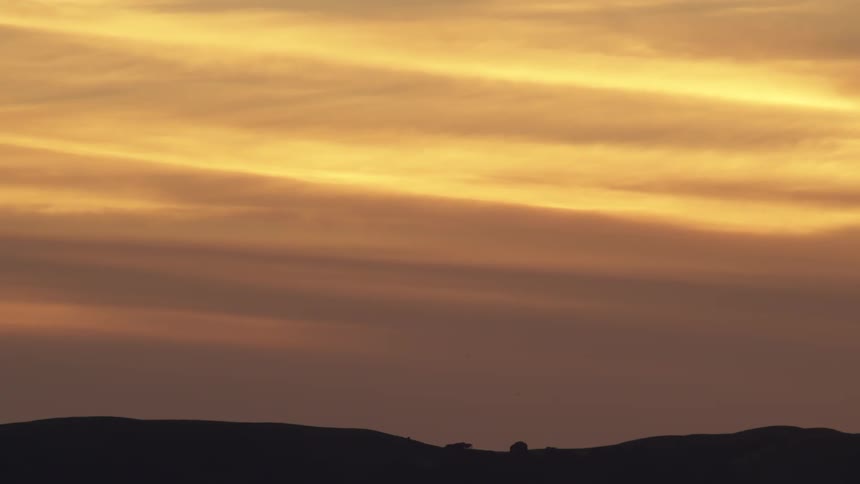 Birds fly as the sun rises