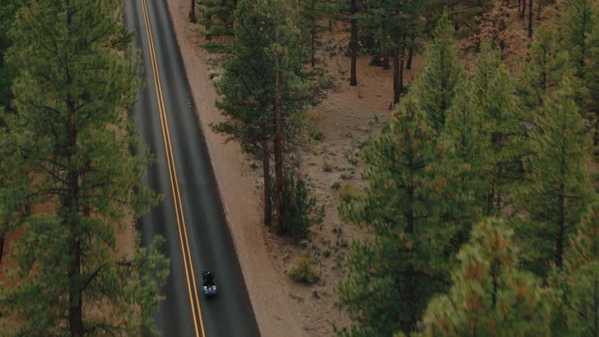 A motorcycle passes by the forest full of tall trees