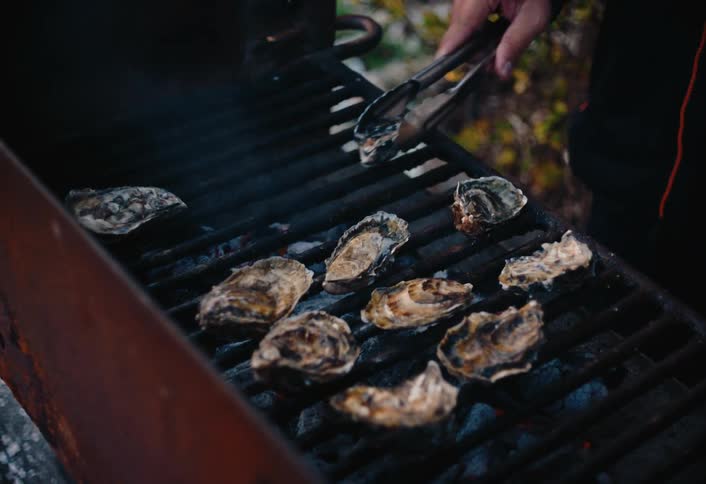 Grilling oysters on an outdoor bbq grill over coals