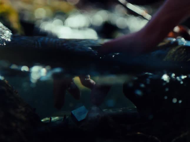 A hand picking a bright shiny cube submerged on a pristine stream