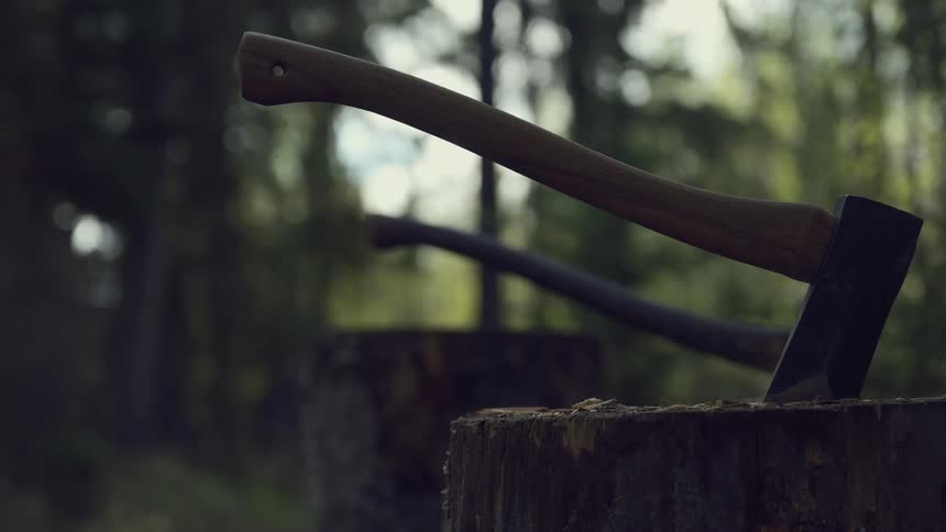 Axes are buried in the stumps