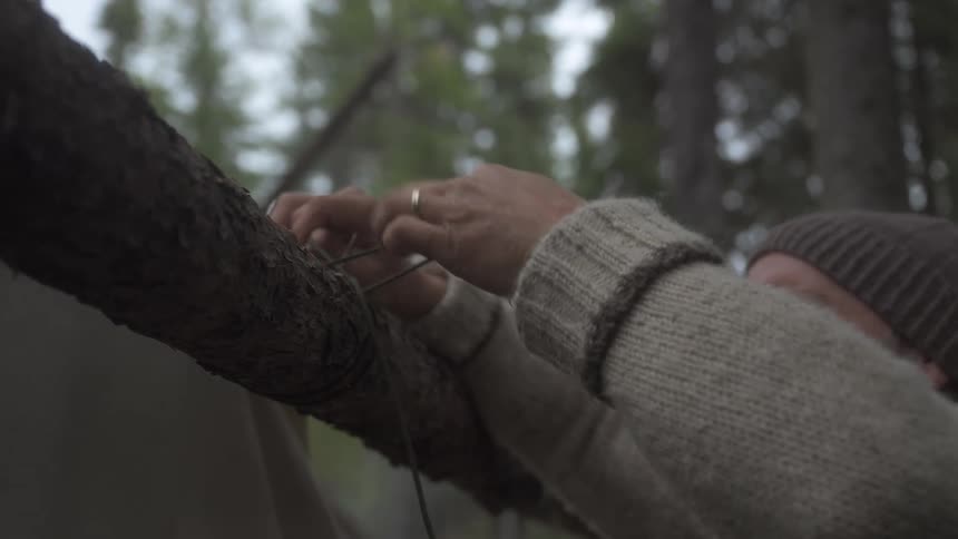 A man wearing a knit hat secures a line to a thick tree branch in the woods