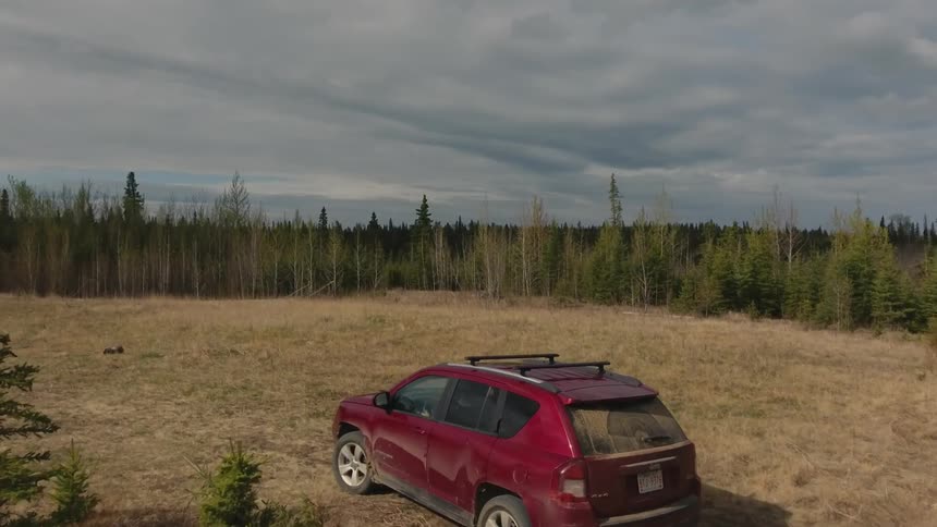 A footage of a car moving through the woods