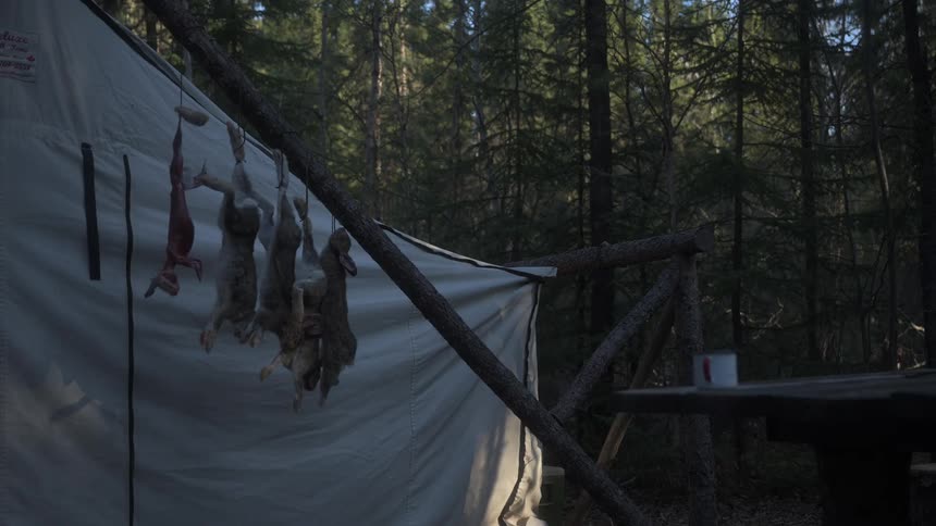 A tent out in the woods