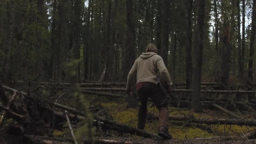A hunter walks into a dense dimly lit forest carrying a rifle surrounded by tall trees and fallen branches