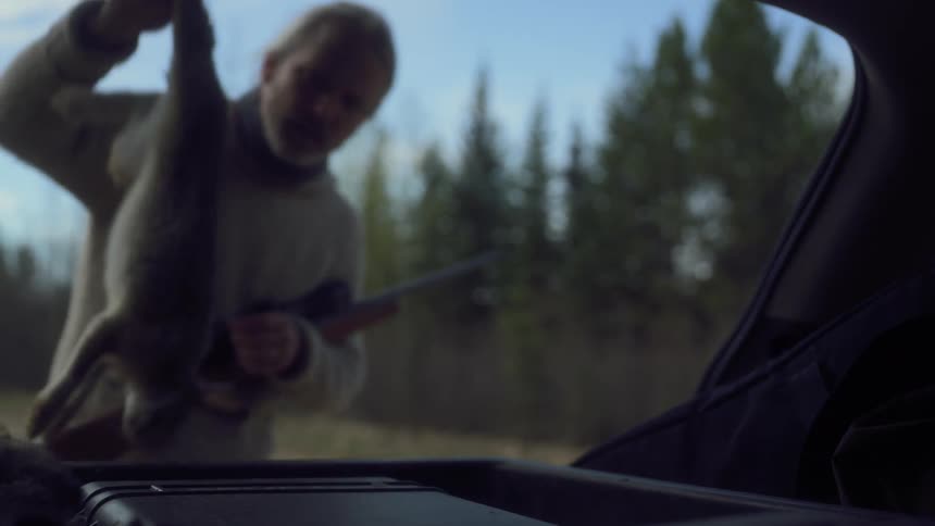 Older male hunter puts dead game into the vehicle parked near the woods during the day