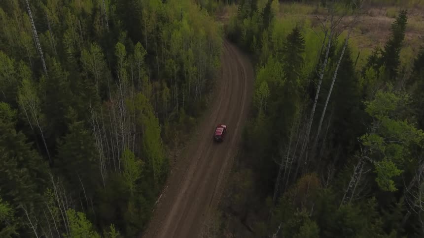 A car is driving on a dirt road surrounded by trees
