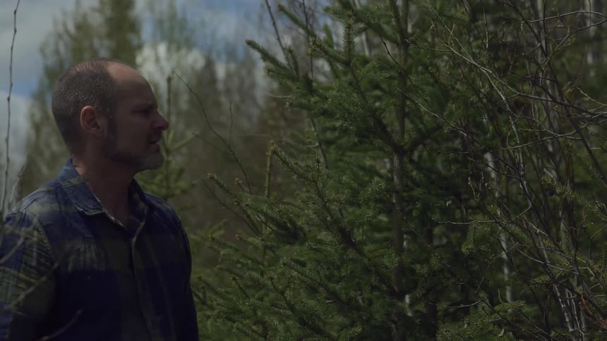 A man with a shaved head and a plaid shirt stands in a wooded area looking off to the side with a backdrop of trees and a slightly overcast sky
