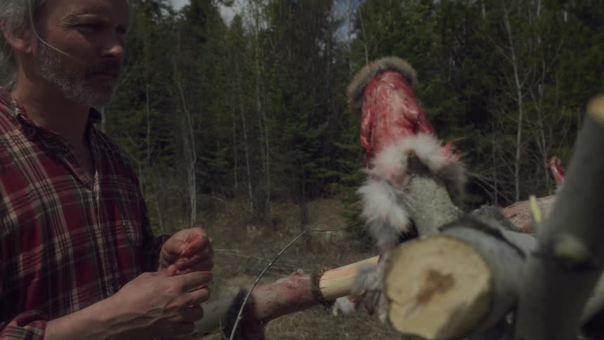 The hunter is drying animal skins on the logs
