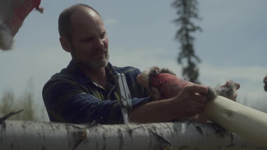 A footage of a man sunning an animal skin
