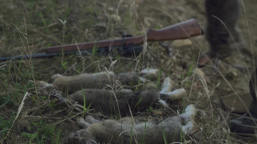 A man places a hare down on the grass in a line.
