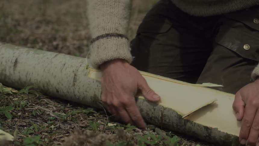 A footage of a person pealing a wood trunk