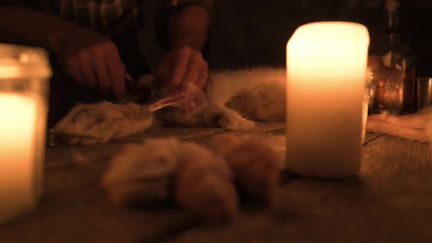A footage of a person skinning an animal