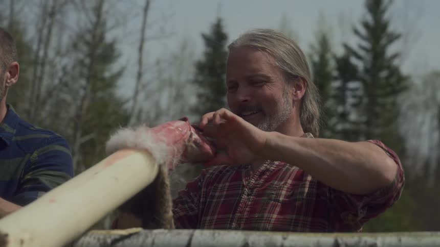 Men slide skins on the logs to dry