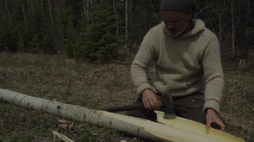 A man shaves the bark off the tree with his ax