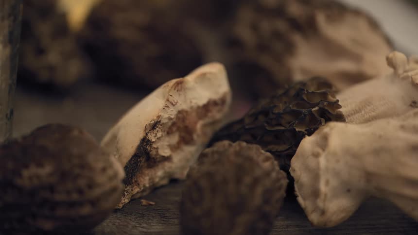 A close up of some mushrooms that have been picked