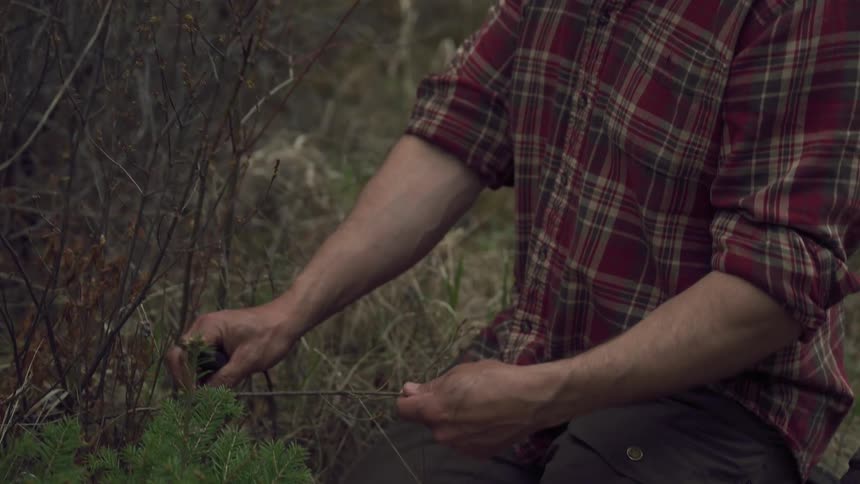 A man is cutting sticks from the brush