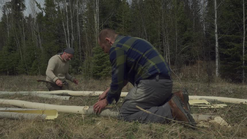 A man shaves the bark off trees on the ground