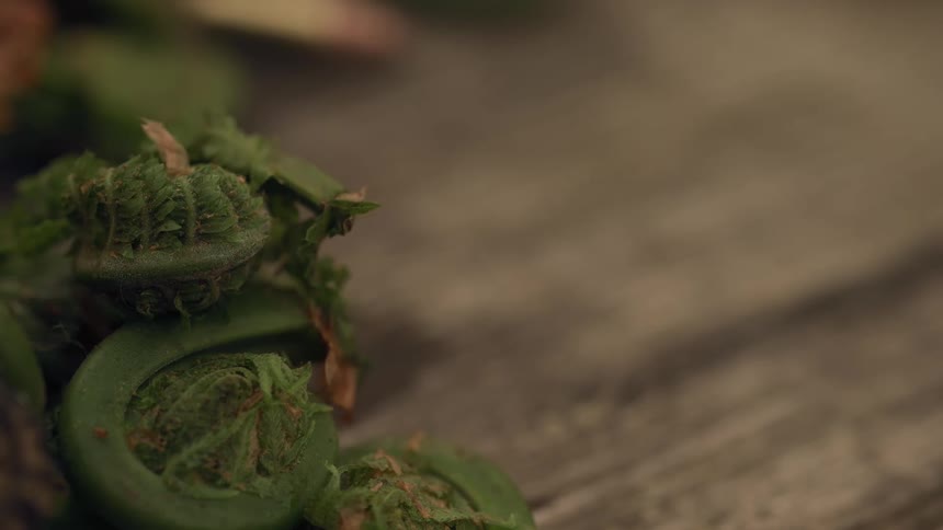 A closeup shows several curled fiddleheads resting on a wooden table