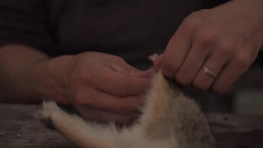 A man is skinning a rabbit