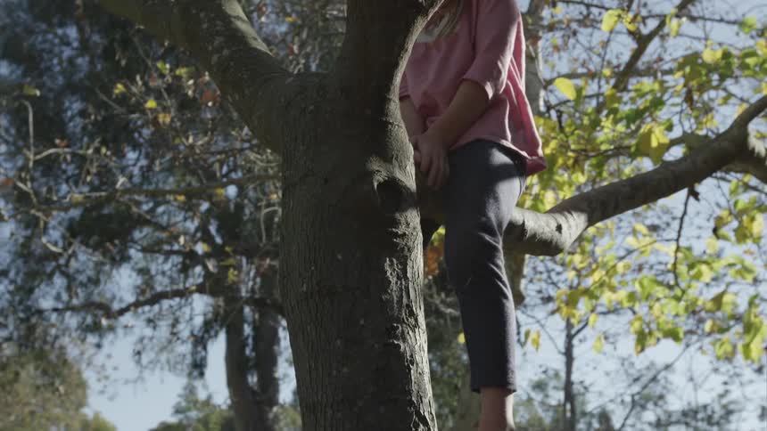 A person sitting in a tree