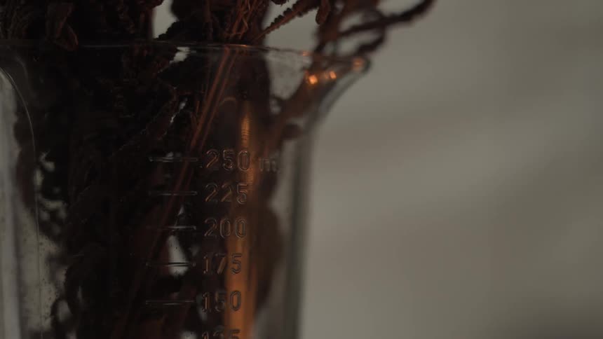 A footage of a plant jar