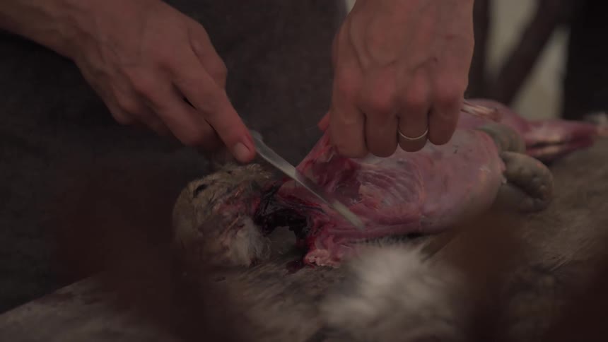 A man is butchering a rabbit with a knife