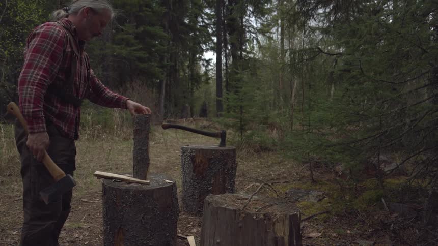 A man swings an axe to chop wood for a fire in a forest clearing surrounded by tall trees