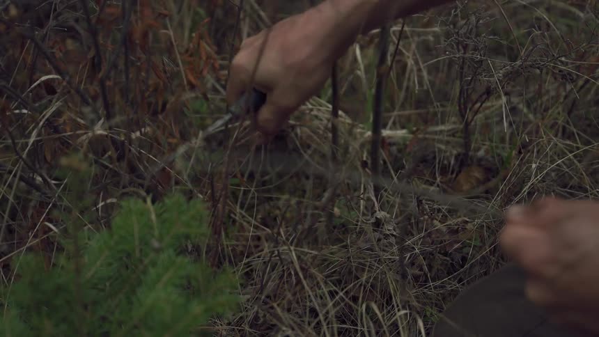 A footage of a person cutting grass