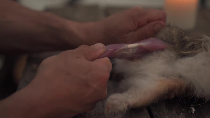 A hunter carefully skins the legs of a rabbit separating the fur on a rustic wooden table with a knife and a candle nearby