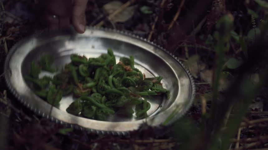 A plate full of green food