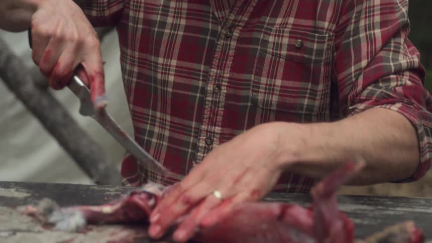 A footage of a man skinning an animal