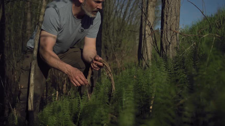 A footage of a man man harvesting in a garden