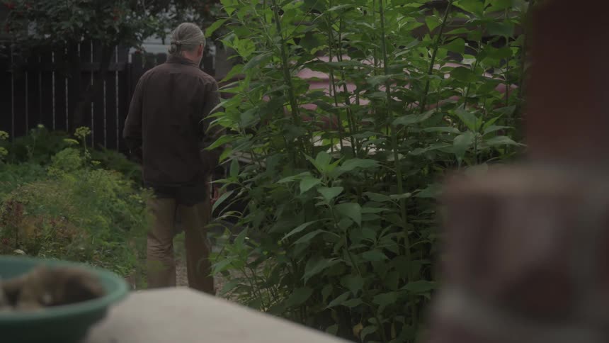 A man walks through his garden