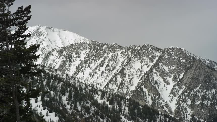 Snow and tree covered mountains