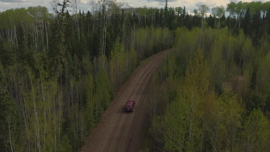 An aerial view of a single red vehicle driving along a dirt road that winds through a dense forest of tall trees under a partly cloudy sky
