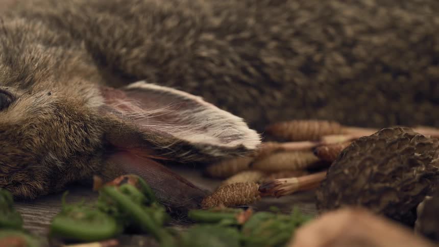 A dead rabbit rests on a wooden surface with a knife and green leaves nearby