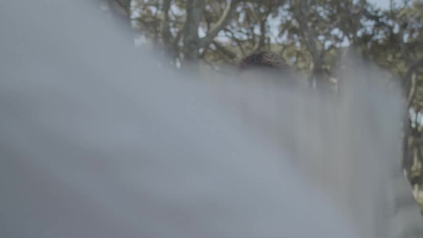 A teenager laughs as a blanket is dropped