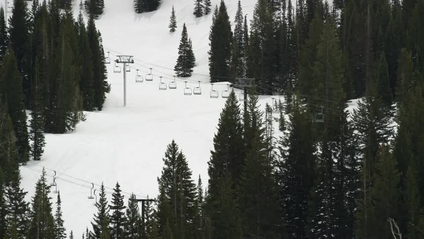 A ski life is surrounded by pine trees