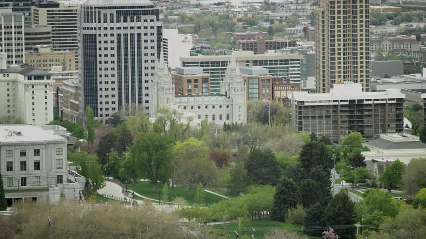A park with trees and grass nestled among the city buildings