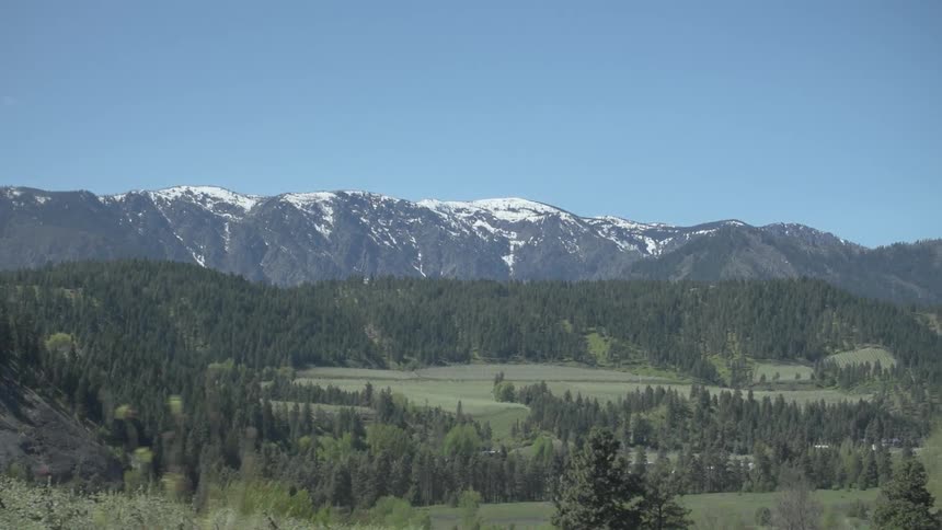 Snow covered mountain range near a pine forest under a blue sky